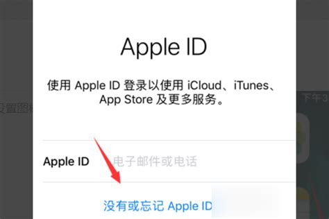 注册苹果id电子邮件正确格式，苹果5设置id的电子邮件地址要怎么填