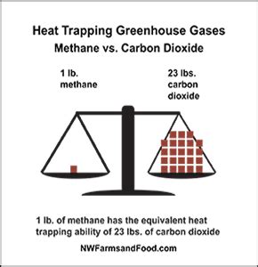 NO FARTING PLEASE – CAPT AJIT VADAKAYIL – CAPT AJIT VADAKAYIL