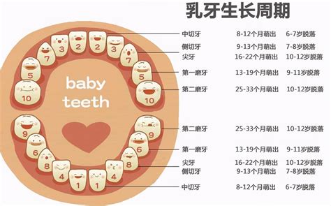【科普】儿童牙齿健康科普问答 - 深圳市品质消费研究院--好品质发现者