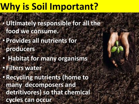 Ess 5.1 Soil formation | PPTX
