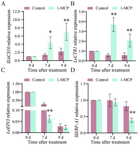 DNA Methylation Is Crucial for 1-Methylcyclopropene Delaying ...