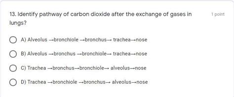 Identify pathway of carbon dioxide after the exchange of gases in lungs ...