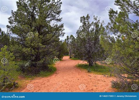 Snow Canyon Overlook, Views from the Red Mountain Wilderness Hiking ...