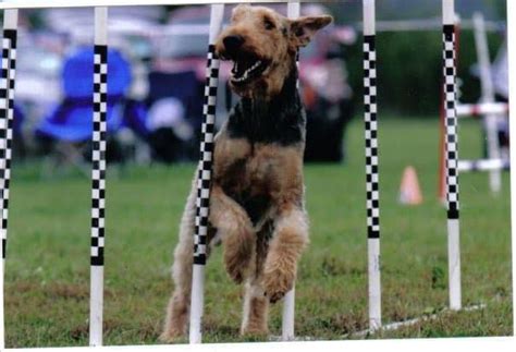 ATCNO January Club Meeting, Mary Yoder's Amish Kitchen, Middlefield ...