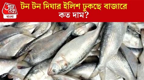 Hilsa Price in Kolkata: দিঘায় উঠল টন টন ইলিশ, কত দামে বিকোচ্ছে ...