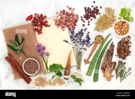 Natural Herbal Medicine 的图像结果