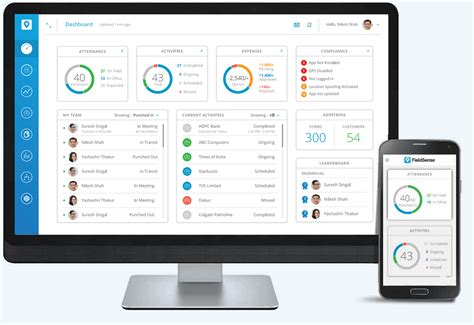 FieldSense | Dashboard & Insights