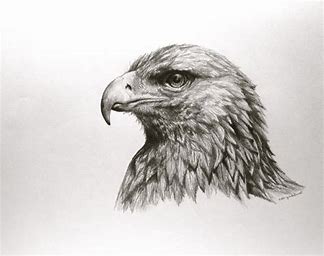 how to draw a realistic self portrait for beginners