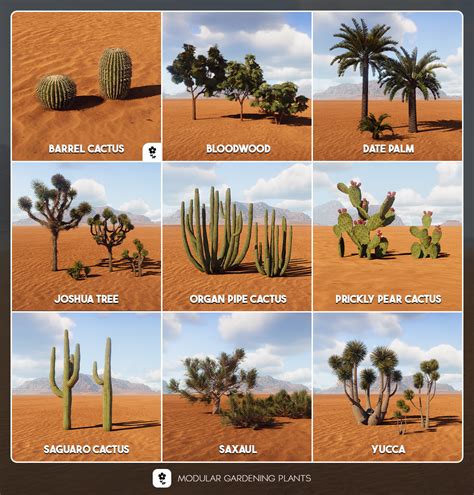 Desert Ecosystem Plants