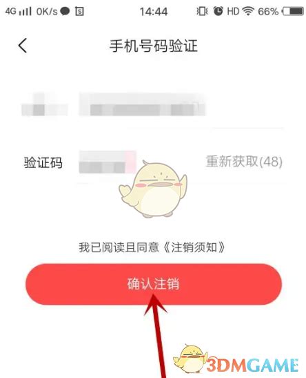 对缘礼物怎么兑换最新素材