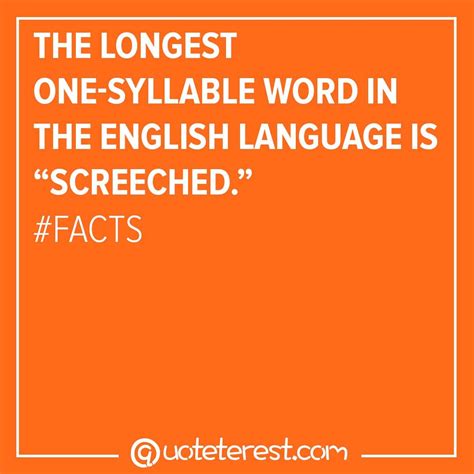 What Is The Longest Two Syllable Word - Letter Words Unleashed