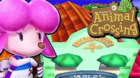 Animal Crossing New Leaf Hair Guide Bow