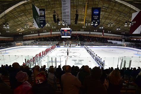 Arena TV Program 的图像结果