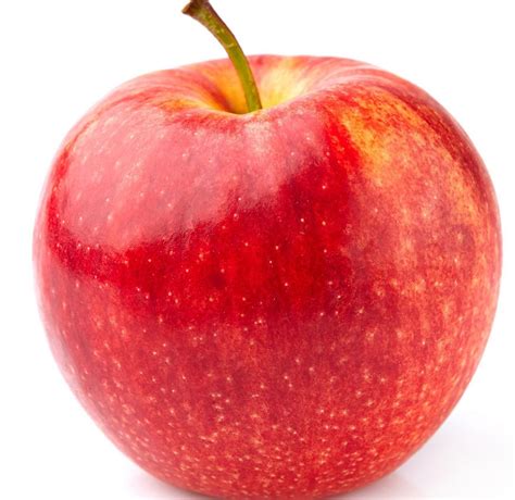 Image result for Apple Basic Programming Example