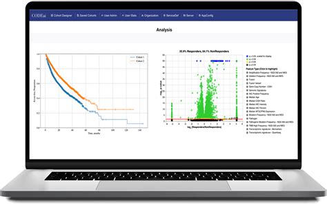Caris JavaScript API 的图像结果