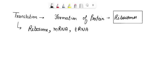 Image result for Translation Process Steps