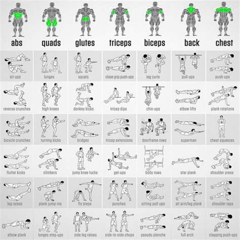 Bodyweight workout, Body workout plan, Fitness body