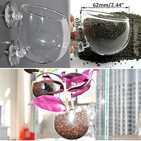 GRIVER Glass Plant Vase Window Planter,Suctions to India | Ubuy