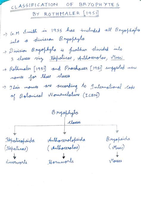 SOLUTION: Classification of bryophytes by rothmaler - Studypool