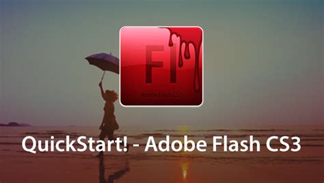 Image result for Script Editing in Adobe Flash CS3