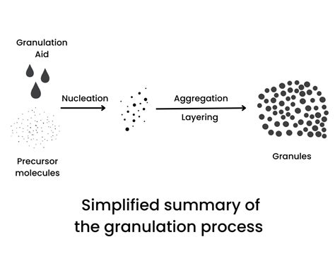 Image result for Granulation Methods