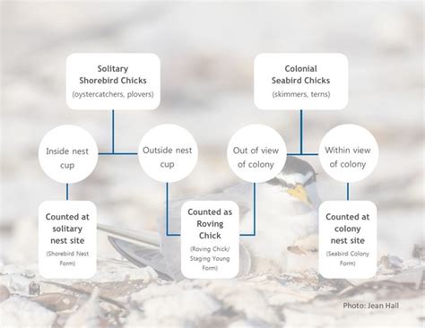 June Wrack Line Newsletter