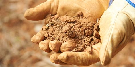 Climate change impacts on our soils | AdaptNSW