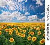 Image result for Screen Size in Python