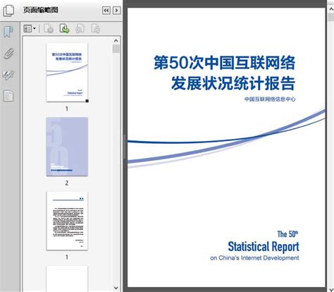 CNNIC：第47次中国互联网络发展状况统计报告（附下载） | 互联网数据资讯网-199IT | 中文互联网数据研究资讯中心-199IT