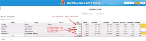 个体工商户电子税务局自行申报纳税，具体操作流程_增值税_办税_界面