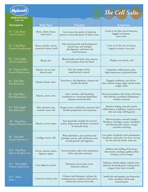 Understanding Cell Salts | PDF