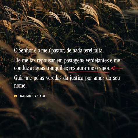Salmos 23:1-4, 6 O SENHOR é o meu pastor. Ele me dá tudo de que preciso ...