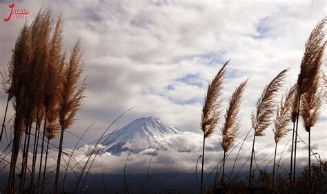 Kawaguchiko Natural Living Center - Japan Guide