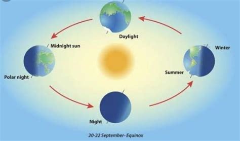 Explain with a diagram how rotation causes day and nights - Brainly.in
