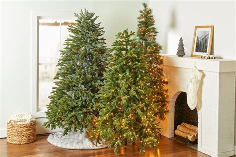 Real Christmas Tree Buying Guide at Lara Roberts blog