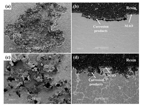 Role of Substrates in the Corrosion Behaviors of Micro-Arc Oxidation ...