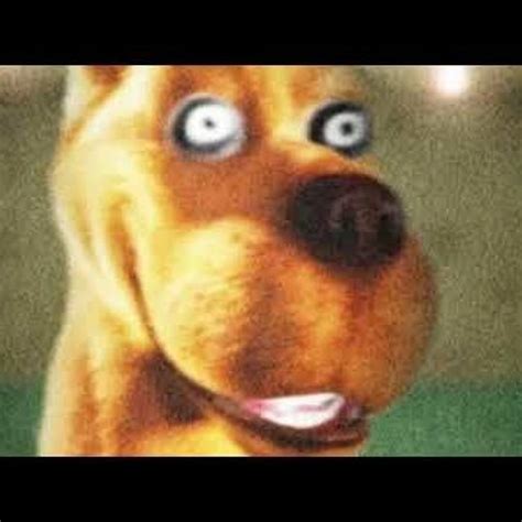 Scooby Doo Laughing