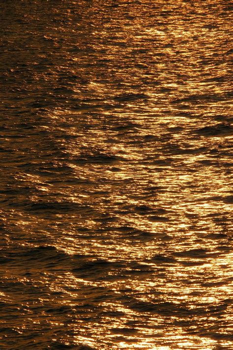 Xxxxx+Photo Photos, Download The BEST Free Xxxxx+Photo Stock Photos & HD Images