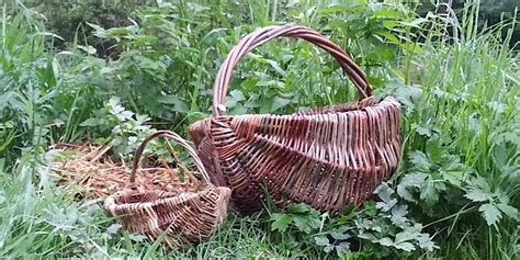 Basket Making - Foraging basket, Hut on the Green, Gosforth, 18 May ...