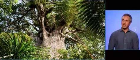 Image result for Explorer File Manager Tree