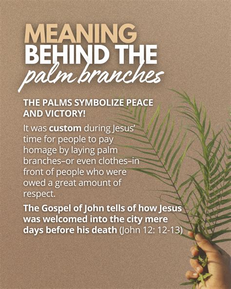 The Meaning of Palm Sunday: 5 Facts Catholics Should Know