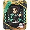 Buy ensky Demon Slayer: Kimetsu no Yaiba Paper Theater - Tanjiro Kamado ...