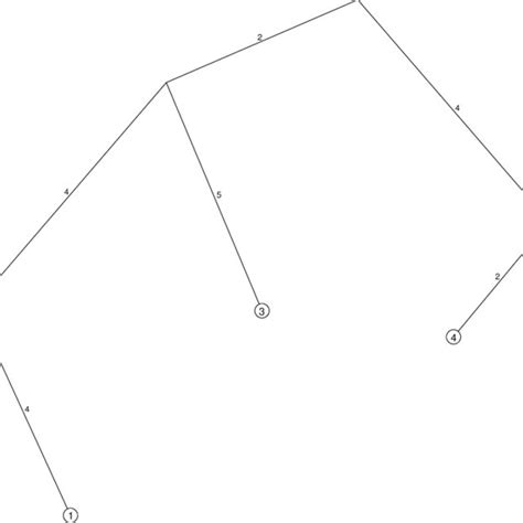 Image result for Phylogenetic Tree Examples