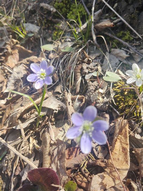 Tymor Park Loop - New York | AllTrails
