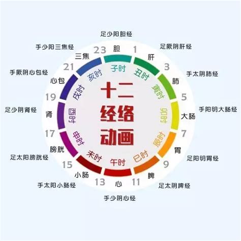 矢量经络穴位图AI图片_医疗保健_生活百科_图行天下图库