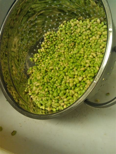 Brown's Farm: White Acre Peas