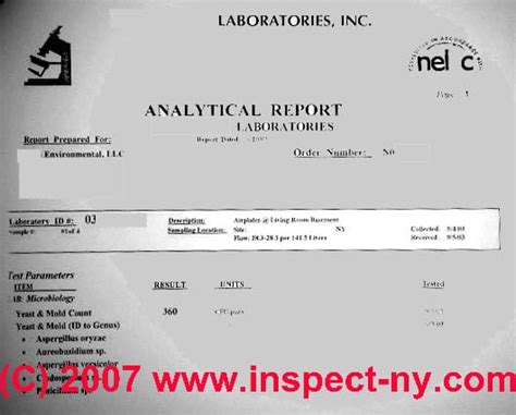 Image result for Lab Report Albums