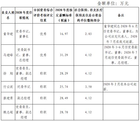 绵阳市投资控股（集团）有限公司负责人2019年度薪酬情况