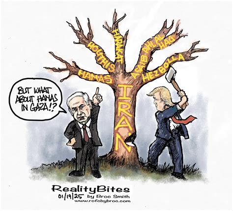 3 Dimensional Chess 的图像结果