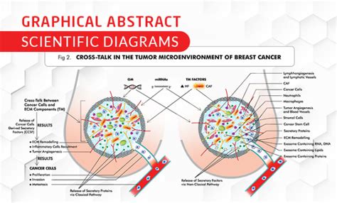 Creative Scientific Graphical Abstract 的图像结果